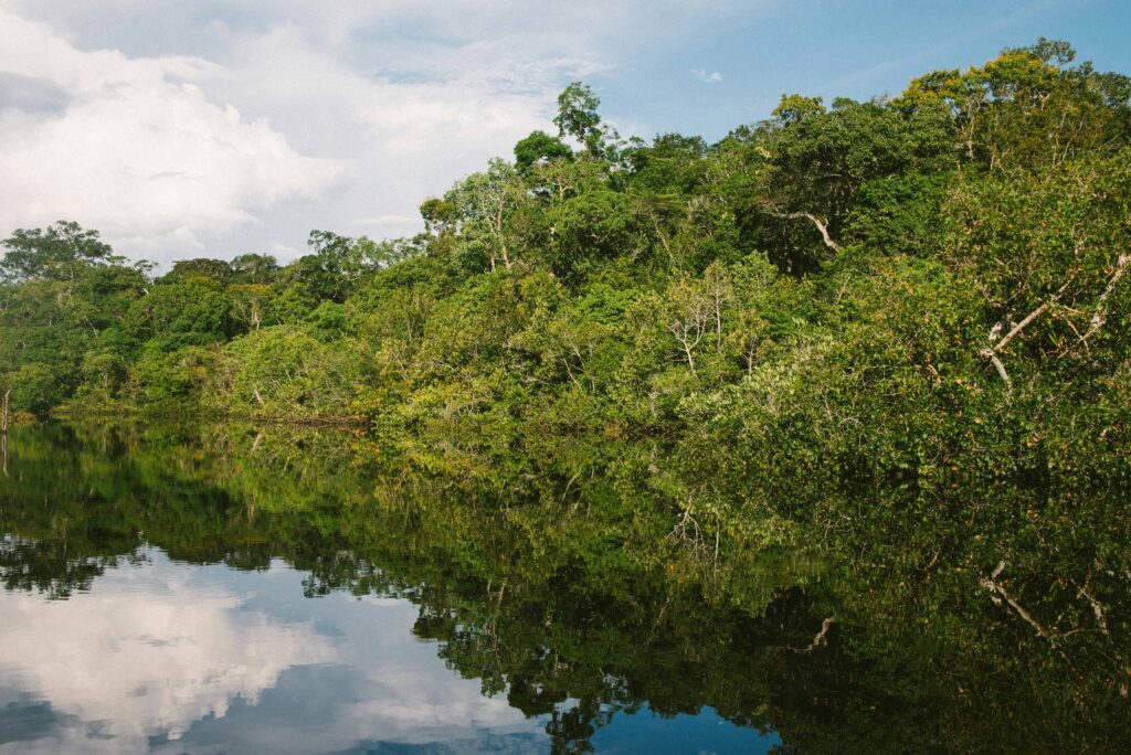 Mejor época para ir al Amazonas