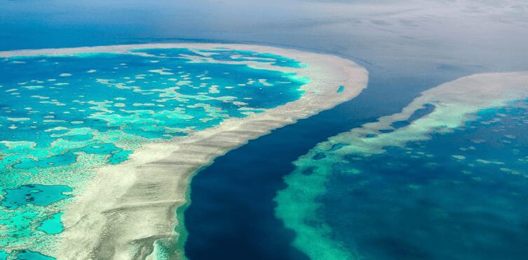 mejor epoca para visitar la gran barrera de coral