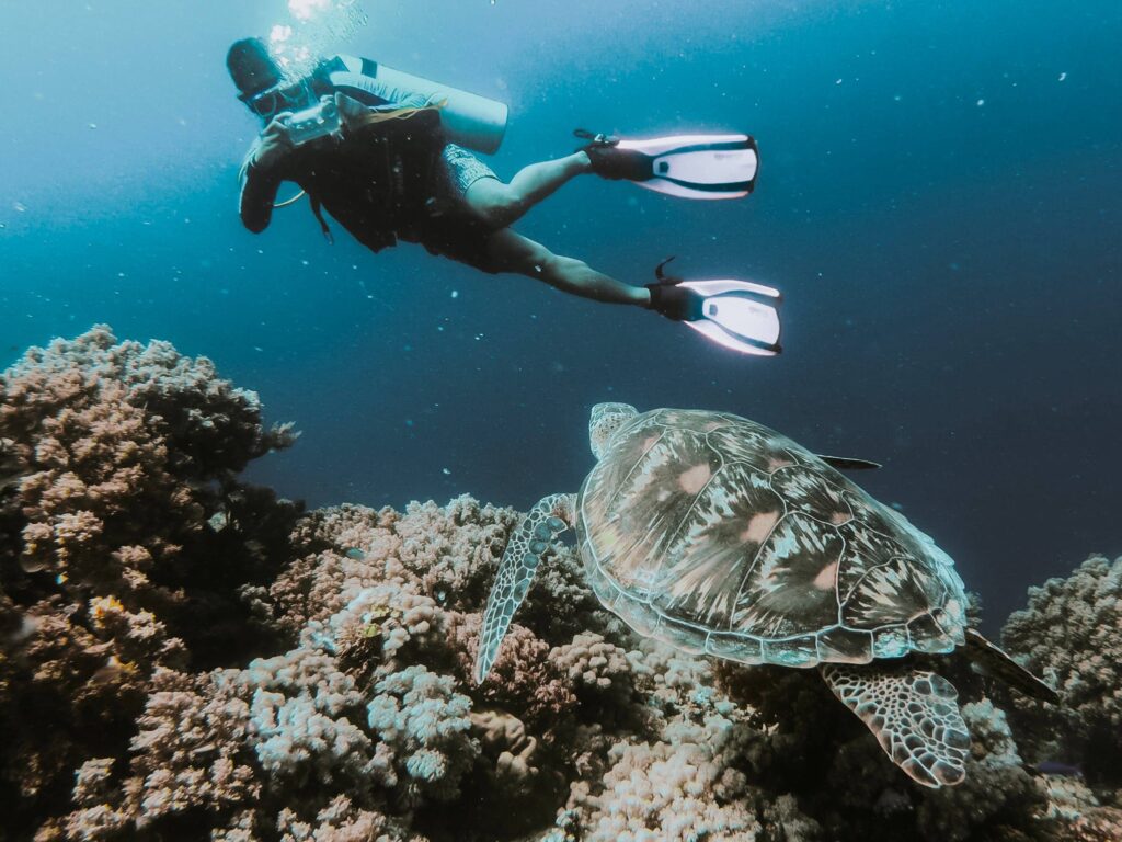 mejor epoca para visitar la gran barrera de coral