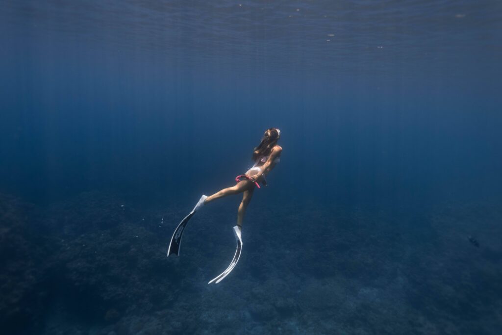 mejor epoca para visitar la gran barrera de coral